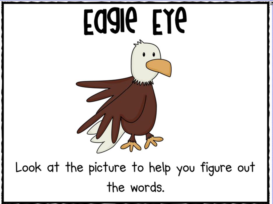 eagle-eye1.jpg (937×702)